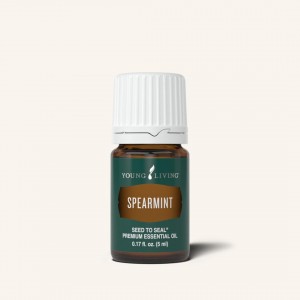 Spearmint 綠薄荷